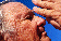 wm_site,_for_2015012009.gif